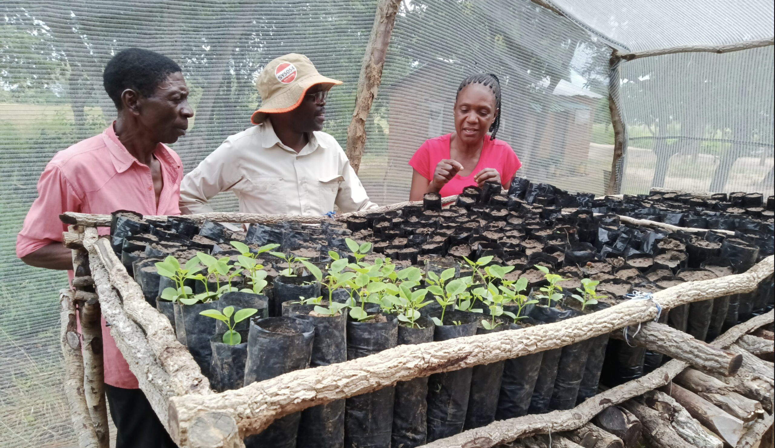 Climate-Smart Agriculture Training