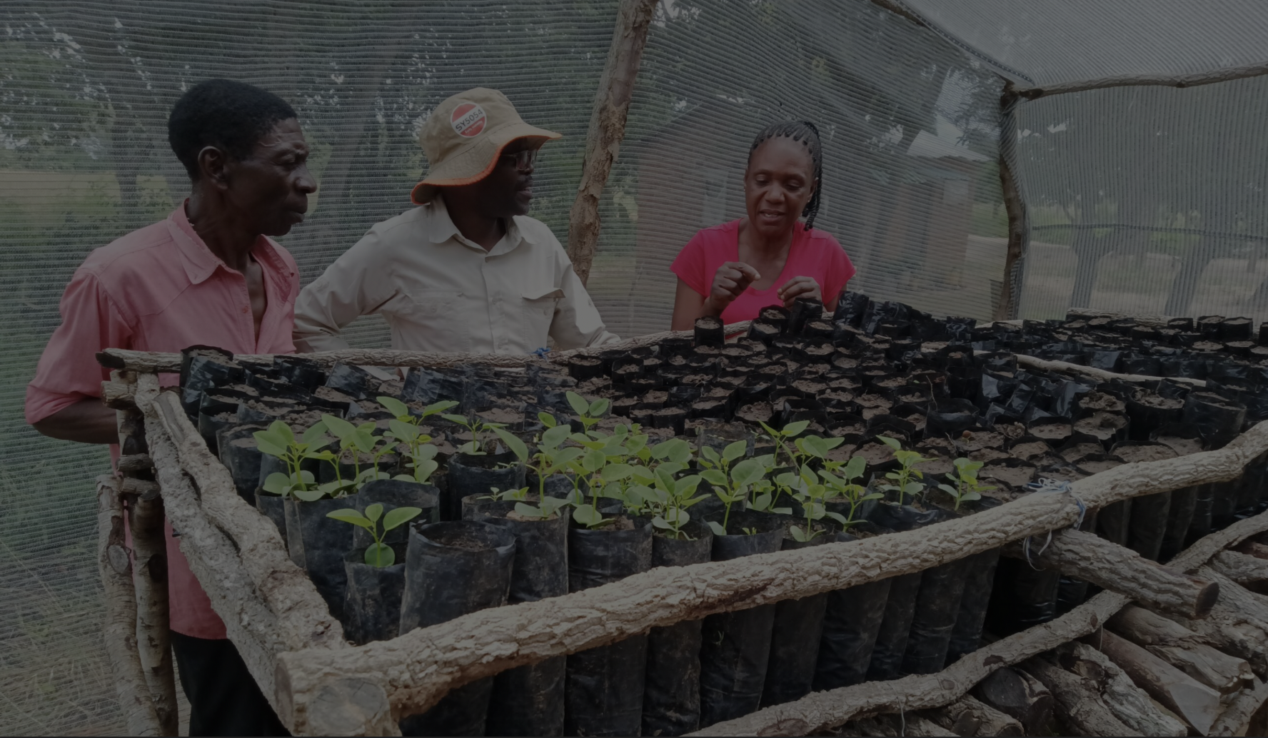 Global Environment Facility Small Grants Programme