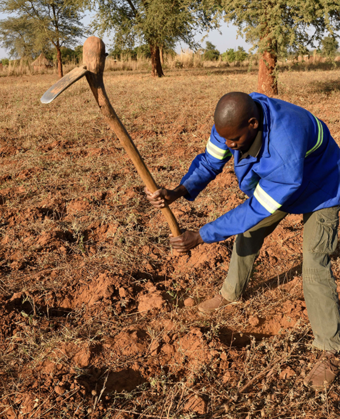 Partnership for Scale (PFS)Tanzania Agricultural Partnership II:2020-2021