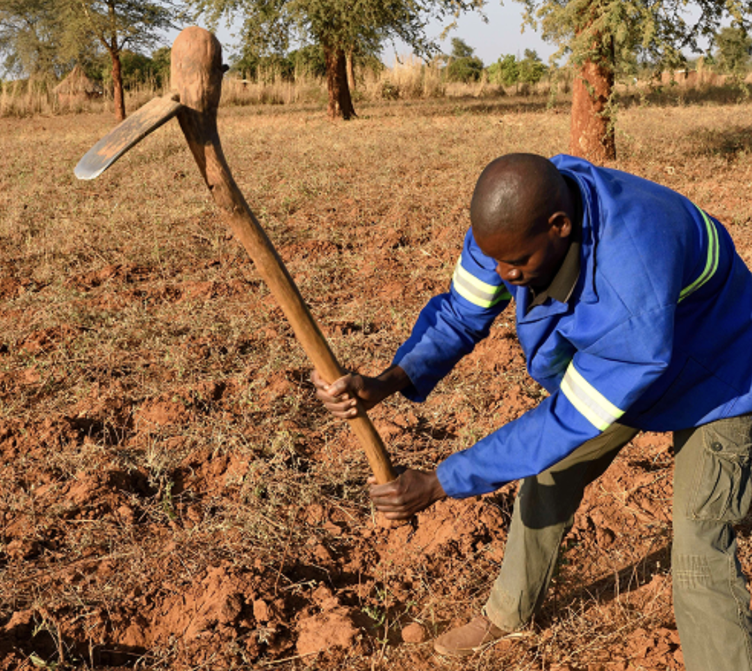 Vision for Adopted Crops & Soils (VACS)